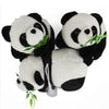 Panda With Bamboo Baby Plush Toy