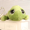 Big Eyes Tortoise Stuffed Toy