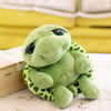 Big Eyes Tortoise Stuffed Toy