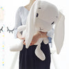 Cute Rabbit Plush Toy